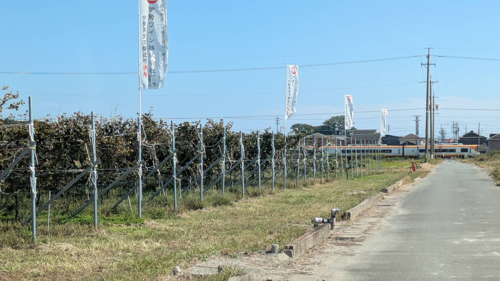 線路沿いのぶどう畑に並ぶのぼり